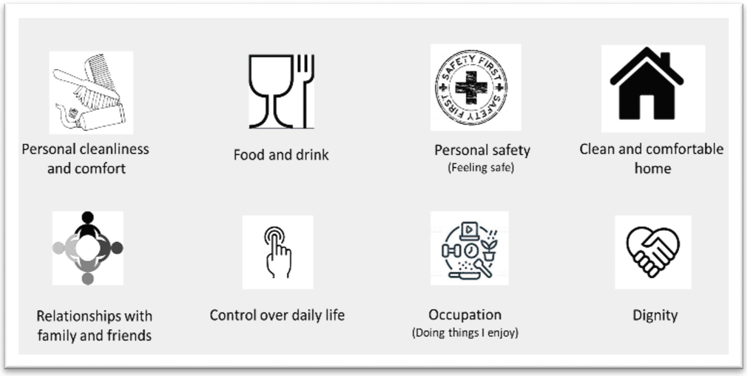 screenshot of domains of social care needs/outcomes in ascot, including food and drink